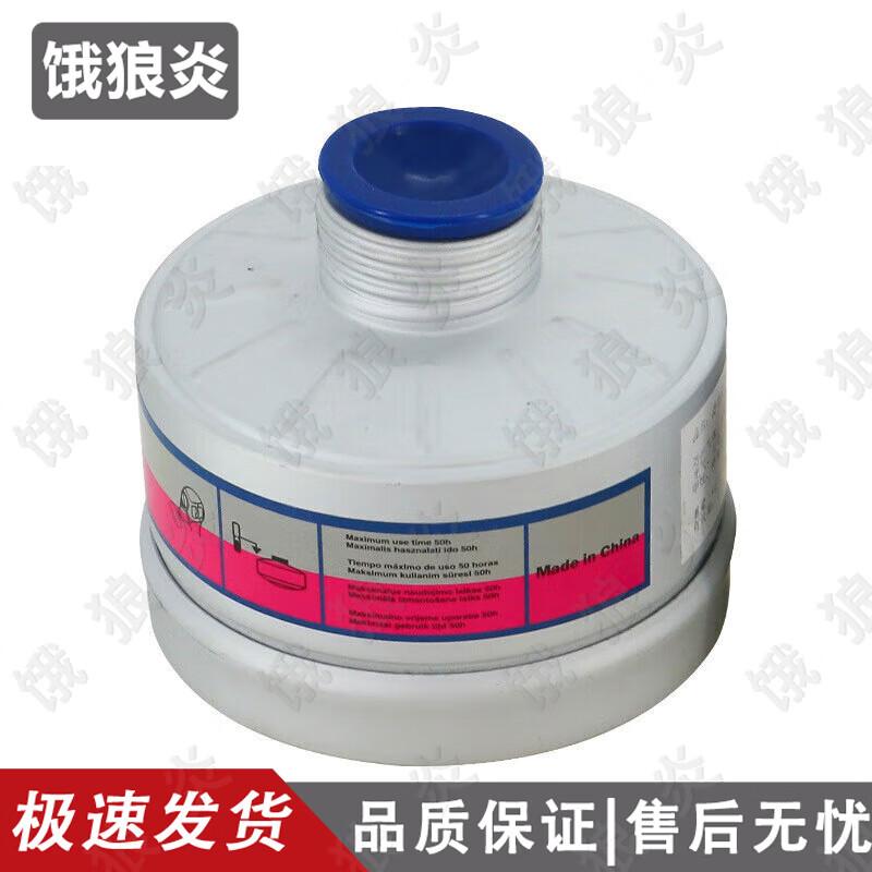 Professional Respirator & Filter Kit