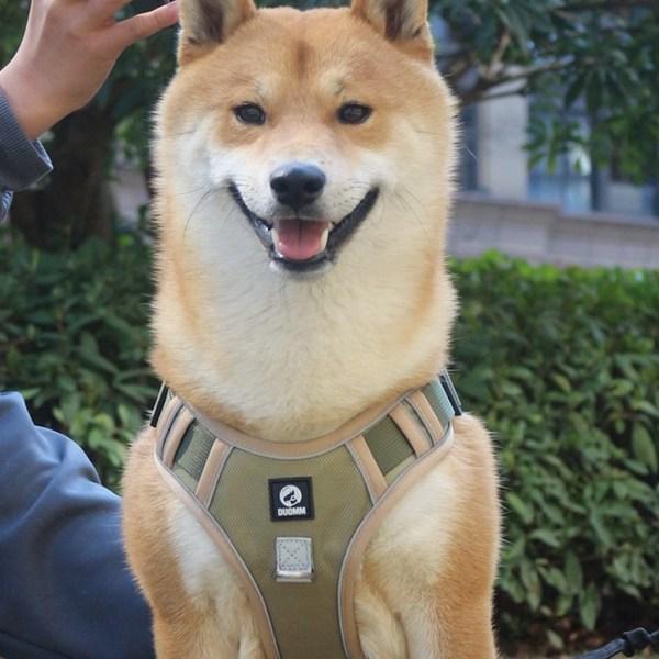 Selwhee Dog Harness, Large Dog Harness, Anti-flip H Type Harness, Dark Black