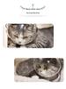 Pet Cat Transparent Space Helmet - Breathable Anti-Scratch Bite-Resistant Design with Cat Ears