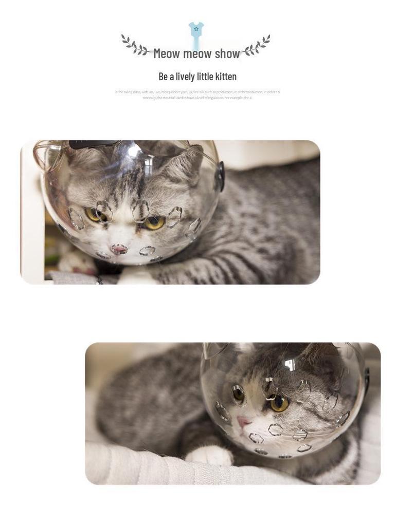 Pet Cat Transparent Space Helmet - Breathable Anti-Scratch Bite-Resistant Design with Cat Ears