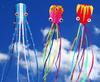 Sports nautiques – Cerfs-volants de plage