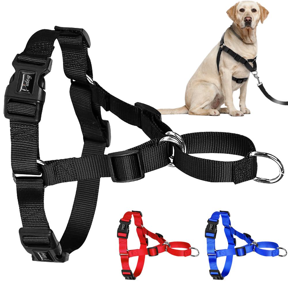 pidog dog harness