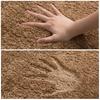 Absorbent Non - Slip Floor Mats, Door Mats for Bathroom, Hall, Living Room, Home Decoration Carpets