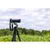 Tamron 50-400mm F/4.5-6.3 Di III VC VXD for Nikon Full Frame Mirrorless Cameras