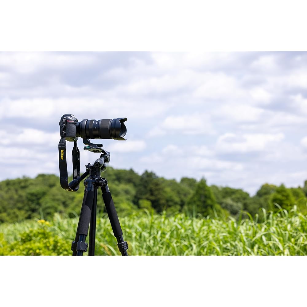 Tamron 50-400mm F/4.5-6.3 Di III VC VXD for Nikon Full Frame Mirrorless Cameras
