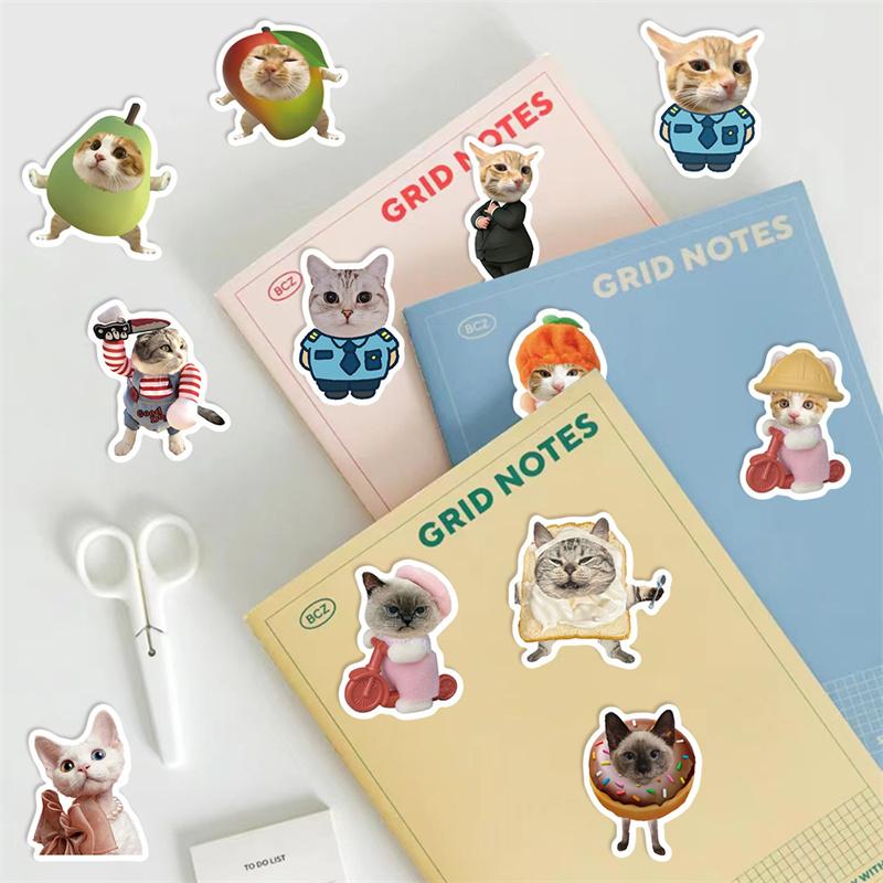 62 Pcs Cartoon Cat Meme Stickers - Waterproof Decals For Diy Decorating Guitar, Notebook & Luggage