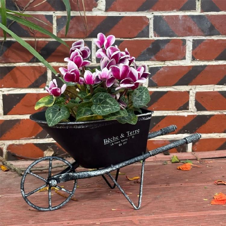 Retro Iron Planter Flower Container Wheelbarrow Flowerpot For Entrance Living Room Garden Patio Yard And Balcony Display