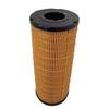 RaySound Diesel Fuel Filter for CAT Excavators