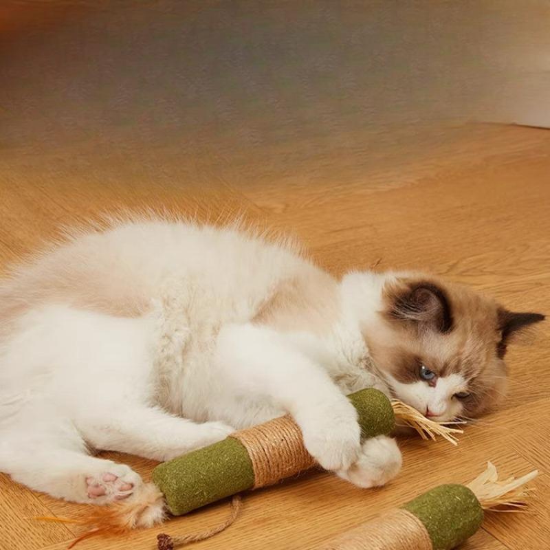 Catnip Sticks Cat Toys Self-entertainment and Boredom Durable Cat WoodTianliao Mint Balls Cat Toys Cat Teething Sticks