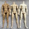 32cm Male Doll Muscle Body Without LOGO Little Defectives Latino White Tan Skin Tone Replacement Body For FR 1/6 Male Heads