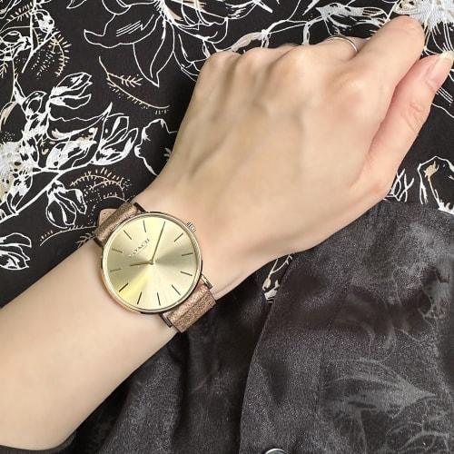 Coach Women's Signature Leather Watch with Leather Strap (14504086)