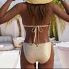 Europäischer und Amerikanischer Geteilter Badeanzug Mode Badeanzug Sexy Schlanke Damen Kleine Brüste Push-up Unifarben Bikini