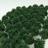 Selectable Quantity 50 or 100 Pieces N Gauge Architectural 3cm Dark 100 Forest, Colors, [DauStage] Diorama, Railway, Model, Trees, Scenery, (11,