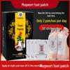 Xingwantang Old Beijing Mugwort Foot Patch