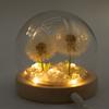 Floral Glow Garden Dome – 2 Dandelions – LED USB