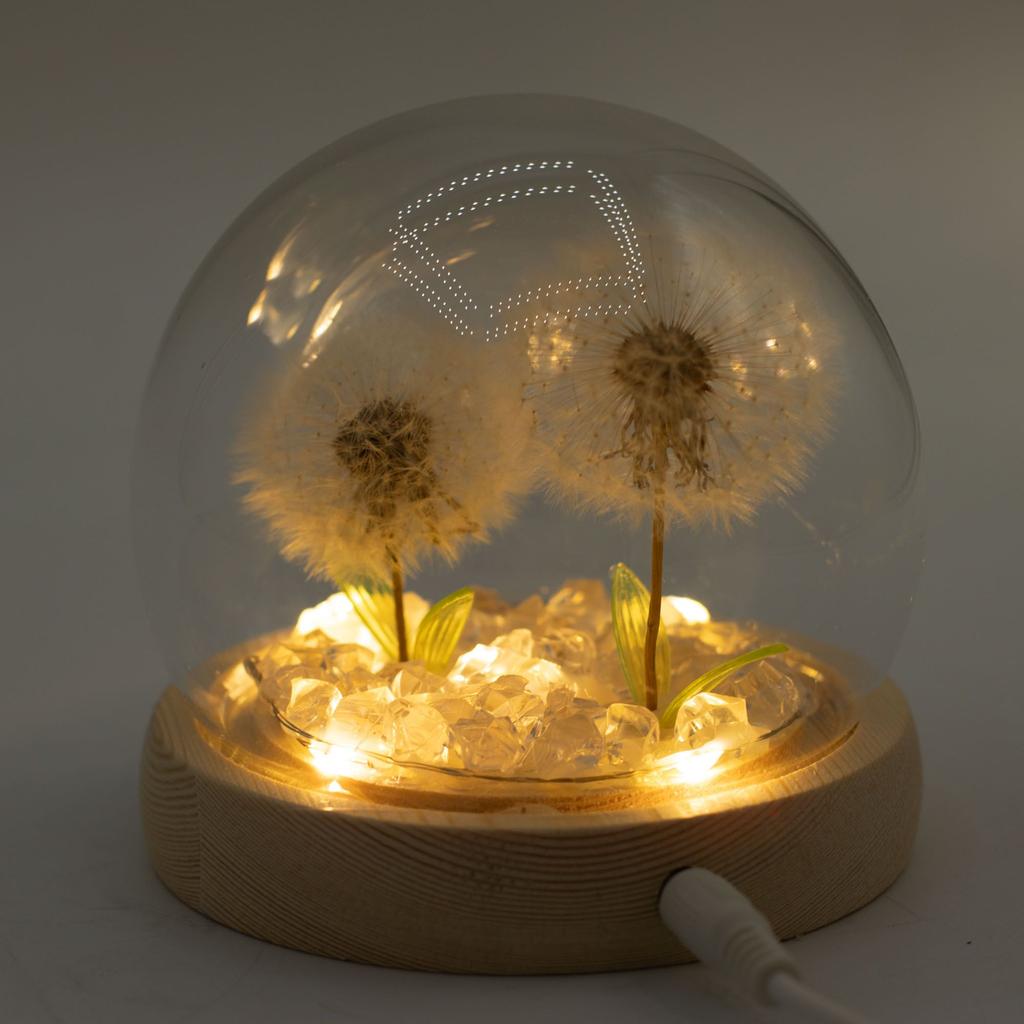 Floral Glow Garden Dome – 2 Dandelions – LED USB