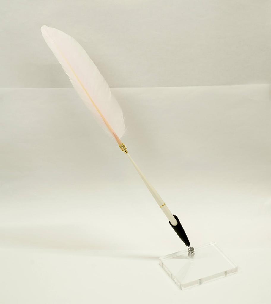 2 set pack Japanese processed goose feather plastic shaft banker pen transparent acrylic pen stand with black pen holder pink feather + Q-S5P1WG-2-P
