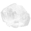 100Pcs Disposable Ear Guards Soft Elastic Clear Ear Covers for Bathing Hair Dying Styling Dressing