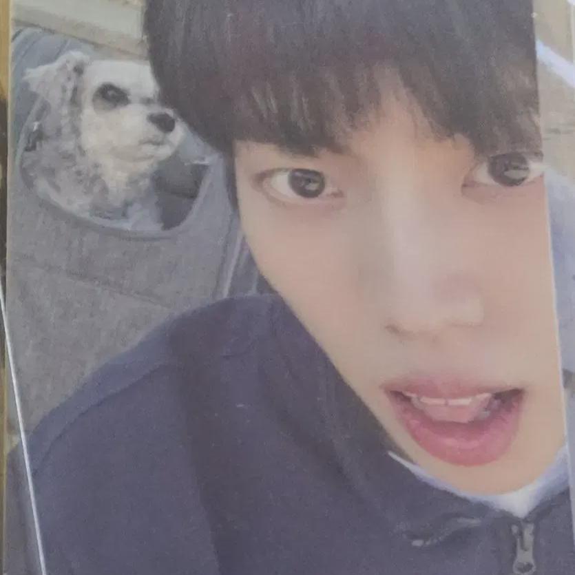 

Infinite Season s Greetings Season s Greetings Photo Card Photocard Dongwoo