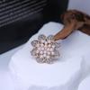 Korean Style Rhinestone Pearl Alloy Brooch & Pin