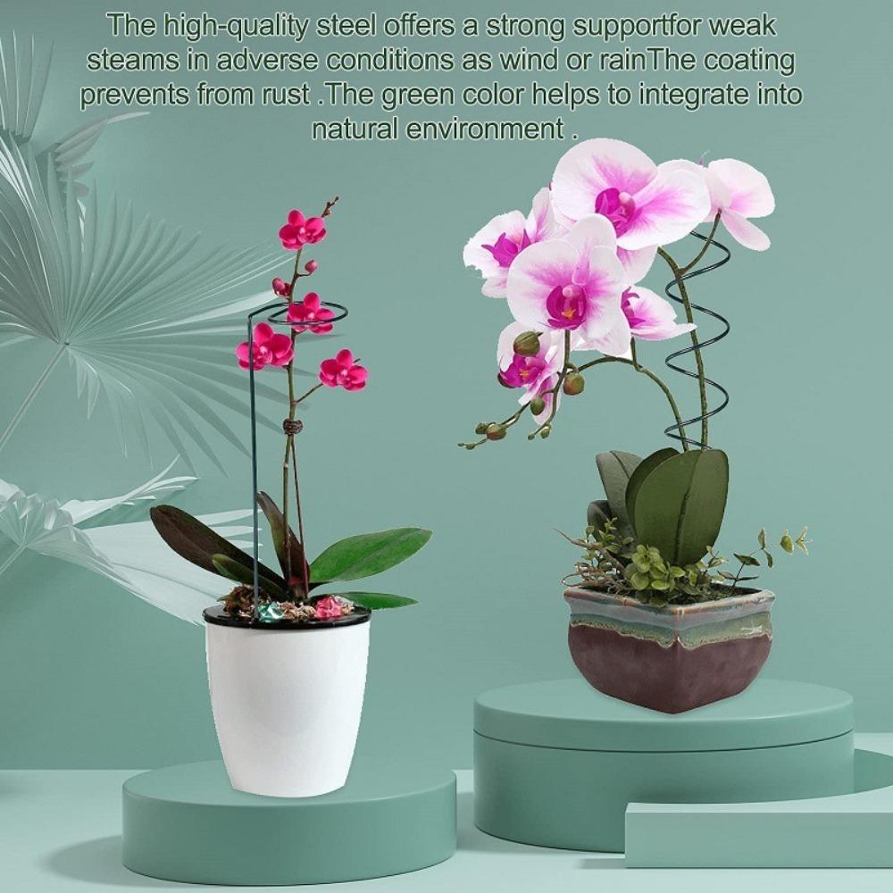 Stojak na paliki do pomidorów, spiralne paliki, pręt mocujący, skręcone paliki do pomidorów, nowa klatka na rośliny, rama ogrodu