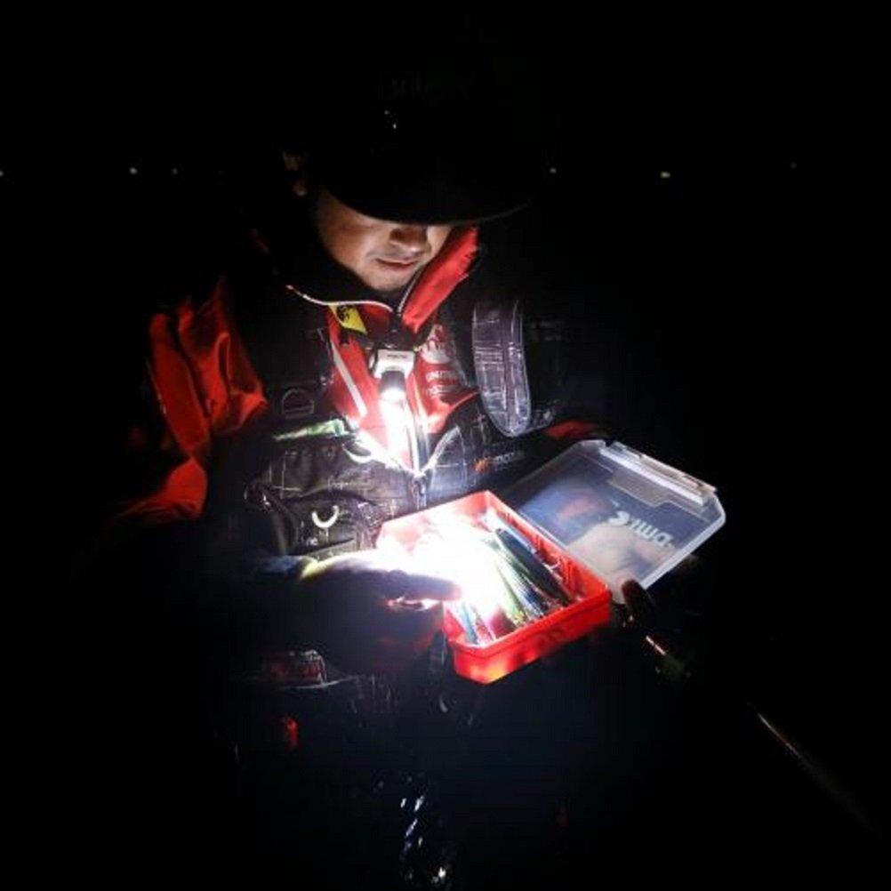 MAZUME Focus One Limited Red MZAS-301-03