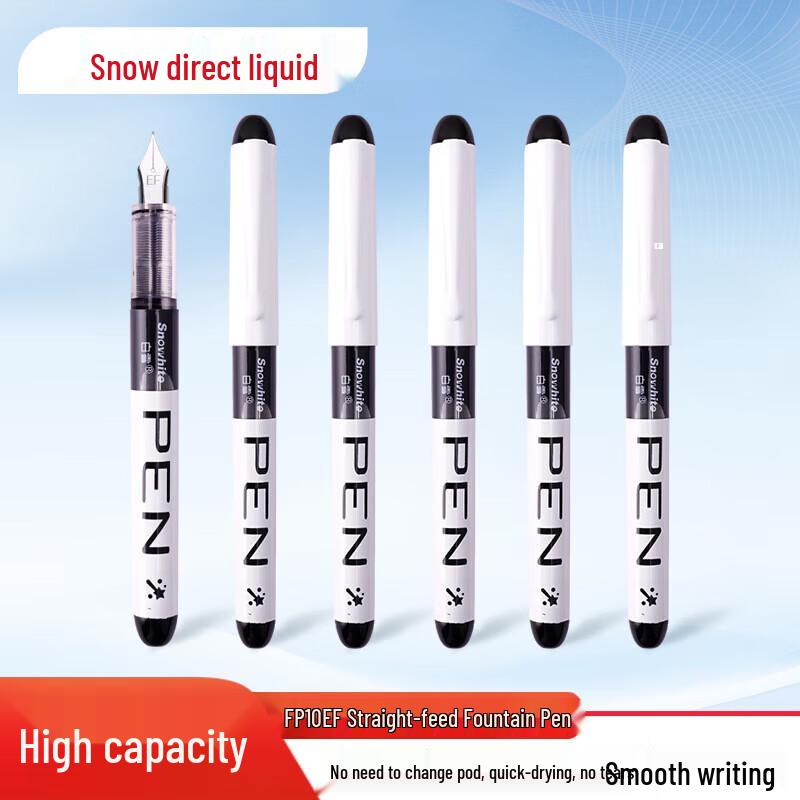 Baixue Direct Liquid Fountain Pen