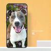 Pit Bull Lovely Dog Pitbull Case For Oppo A74 A94 A54 A15 A17 A57 A6 A5 Pro A16 A76 A96 A40 A60 A80 A18 A38 A58 A78 A98