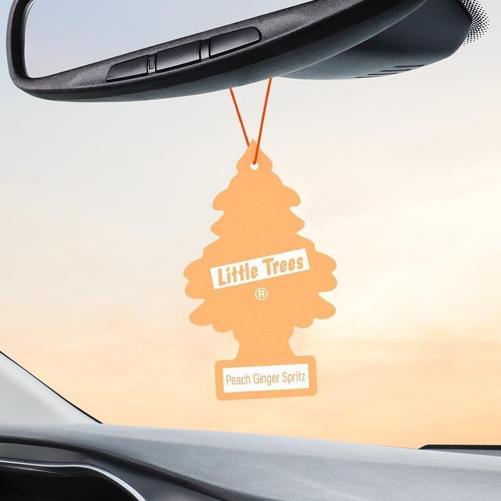 Little Trees (Peach Ginger Spritz) Car Room Hanging Car Freshener