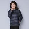 2023 Women's Off-Season Lightweight Cotton Jacket, Solid Color, Korean Style, Versatile, Short and Slim Fit