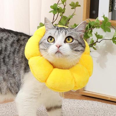 Chapéu de Cabeça com Pétalas de Girassol: Coleira Elizabetana Anti-Lambedura para Gatos e Cães