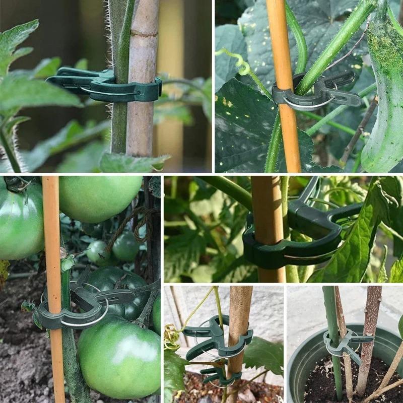 Plante faste klips Gjenbrukbare hagedrivhusbrakett for faste planter Vinrankeblomst frøplante tomater Støtte hageutstyr