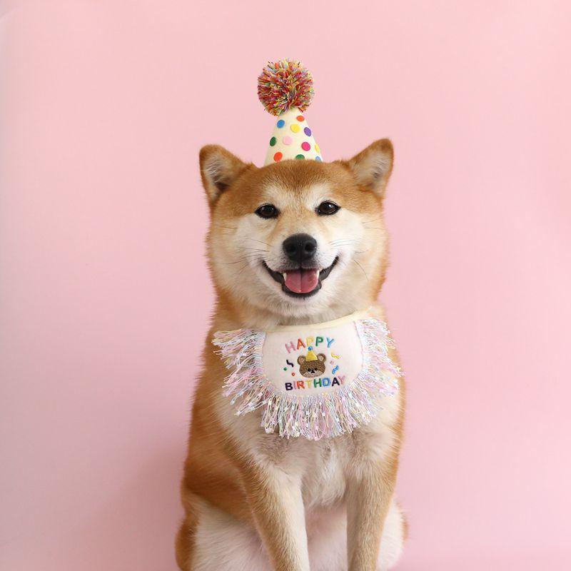 Pet Birthday Hat Bib Party Hat Cat Puppy Lace Saliva Towel Dog Bandana Scarf Dog Birthday Dress Up Photography Props Supplies