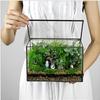 Miniature Rainforest Terrarium: Glass Greenhouse Vase for Succulents and Plants, European American Craft