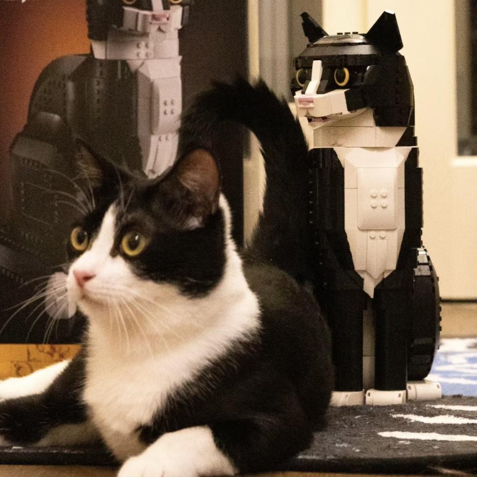 

Креативный кот-смокинг, строительные блоки, кирпичики, креативная мультяшная сборная игрушка с животными, сделай сам, развивающая головоломка, рождественские подарки на день рождения NO BOX