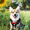 Dog Harness Leash Puppy Traction Harness for Pet Walking 3Sets