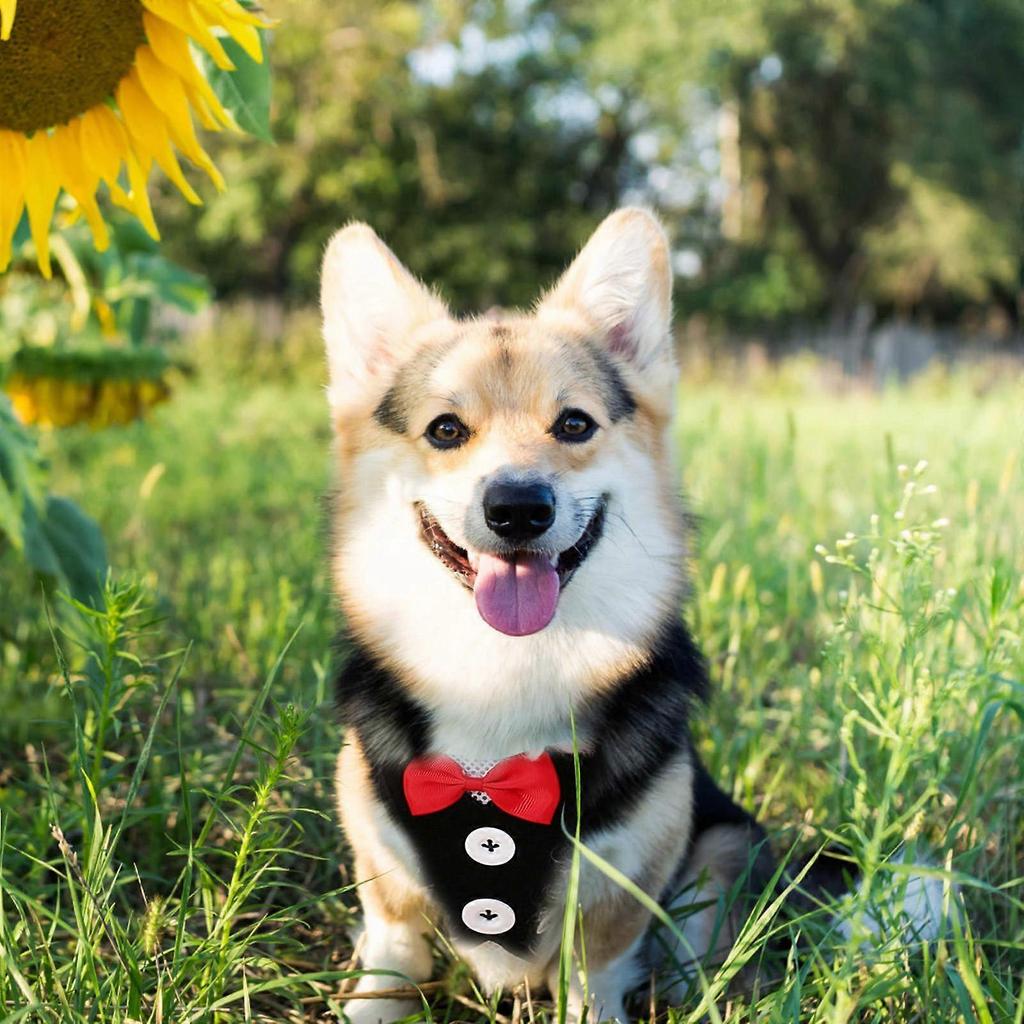 Dog Harness Leash Puppy Traction Harness for Pet Walking 3Sets