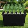 Thicken Versatile Cultivation Box Split Design Soil-Free Planting Box  Fruits Growing