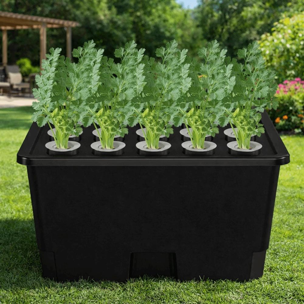 Thicken Versatile Cultivation Box Split Design Soil-Free Planting Box Fruits Growing