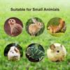 2pcs Figure 8 Harness and Leash with Reflective Strap and Bell for Ferrets, Rabbits, Bearded Dragon, Guinea Pig, Chinchilla and Hamster Small Animal