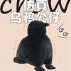 Simulation Black Crow Doll Plush Toy Doll Black Toy Bird Magic Crow Simulation Animal
