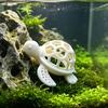 3D Geprinte Schildpad Schuilplaats Grot voor Aquarium, Holle Vis Garnalen Schuilplaats Huisje, Aquarium Vis Tank Decoratie Accessoires