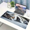 Cute Fluffy Cat Large Extended Mouse Pad Non Slip Desk Mat Animal Print Keyboard Mousepad For Gaming Office Laptop Desktop Decor
