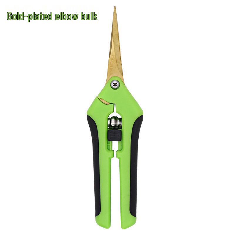 Stainless Steel Straight Head Pruning Shears for Flowers, Branches, and Fruit Trees.