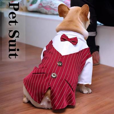 Haustier Anzug Fliege Kurzarm Katze Outfit Hund Hochzeitsanzug Formelles Hemd für Kleine Hunde