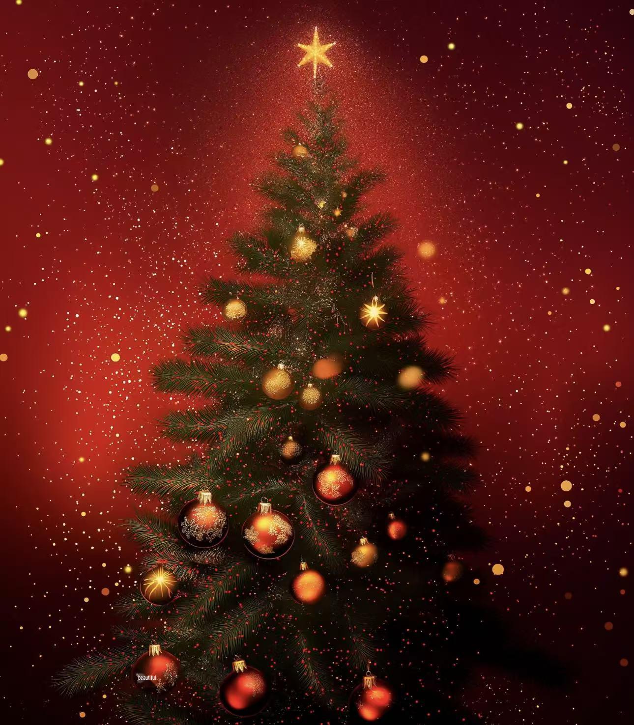 Christmas Sweater - Message for Details 18-24 months