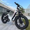 Nathaniel SYR08 Stadtelektrofahrrad, Doppelmotor 2000W, 20x4.0 integrierte Räder, 48V20AH, Schnee-/Sand-Outdoor-Fahrrad
