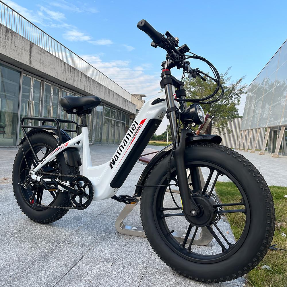 Nathaniel SYR08 Stadtelektrofahrrad, Doppelmotor 2000W, 20x4.0 integrierte Räder, 48V20AH, Schnee-/Sand-Outdoor-Fahrrad