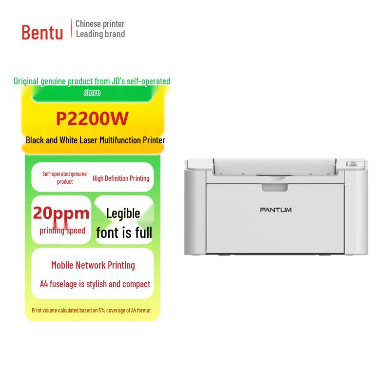 Pantum P2200W Wireless Laser Printer CN plug (adapter included)