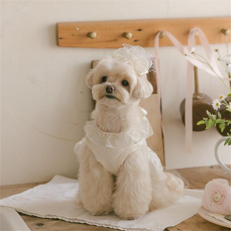 Organza Dog Tutu Dress Lace Ruffle Princess Dog Dress for Small Dogs Girl Shih Tzu Yorkie Clothes